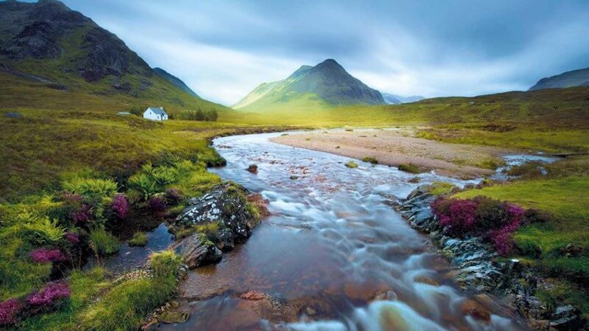 scotch-highlands.jpg