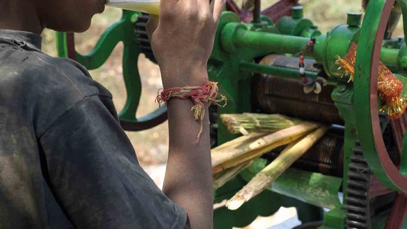 rum-production.jpg