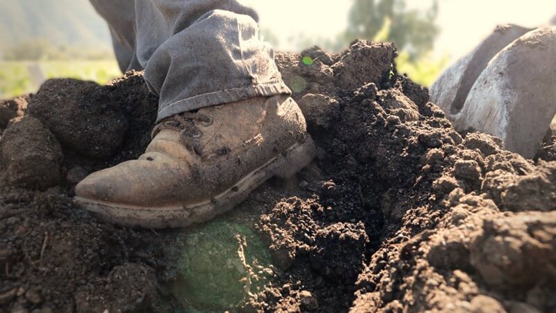 primus-wines-compost-sustainable-wine.jpg
